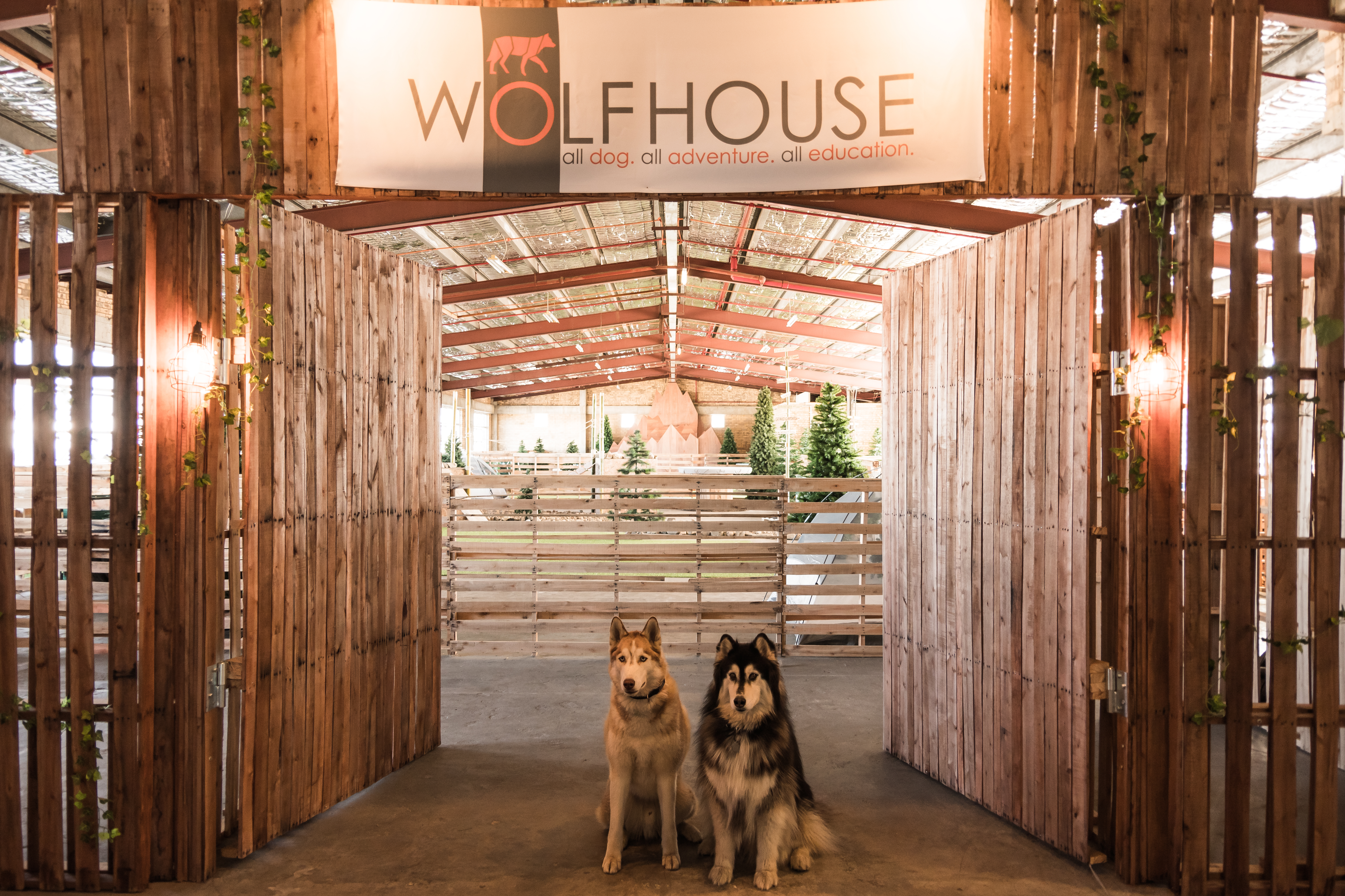 Welcome to Husky Bros!